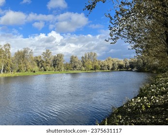 Trees reflection on the lake surface, autumn park with the pond