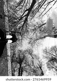 Trees reflection in the puddle on the asphalt road, black and white photo