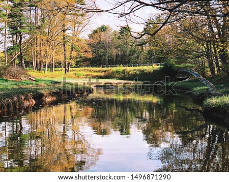 Trees reflections on the river surface in summer by cross river at Zak Preserve wildcat creek in Boothbay New England Lincoln County, Maine, United States.on a sunny day . 