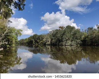Trees reflections in still waters on the Bayou, Louisiana, USA
