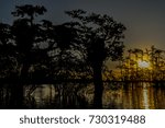 Trees, river, cloud and sunset sky