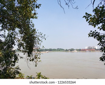 Trees in the river side