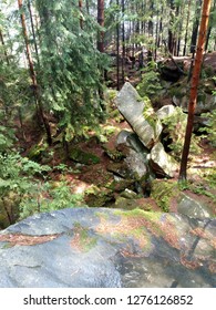 Trees and rocks