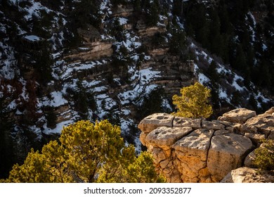 Trees And Rocks Alongside The South Rim Trail Of The Grand Canyon