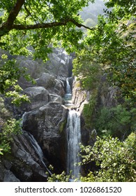 Trees rocks waterfall