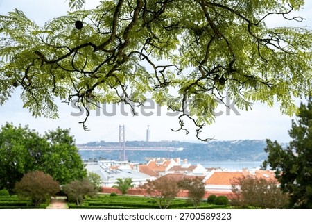 Trees and rooftops overlooking the 25 de Abril Bridge from a public garden in Belem Lisbon Portugal. Photographed on 4 November 2025.