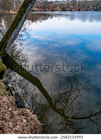 Similar – Image, Stock Photo Shore from roots in an inland water body