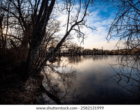 Similar – Image, Stock Photo Shore from roots in an inland water body