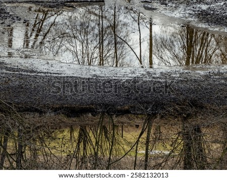 Similar – Image, Stock Photo Shore from roots in an inland water body