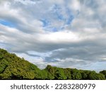 Trees in a row in a park under clouds