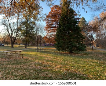 Trees And Scenery Along The Boise Greenbelt