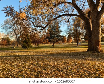 Trees And Scenery Along The Boise Greenbelt