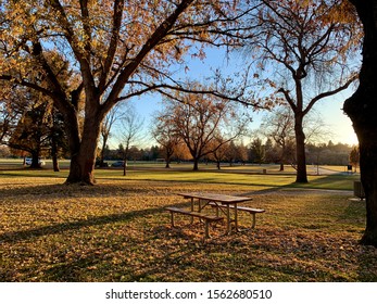 Trees And Scenery Along The Boise Greenbelt