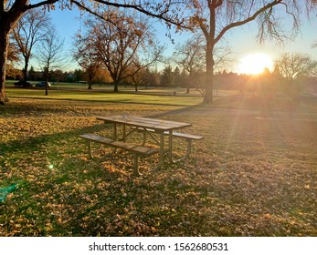 Trees And Scenery Along The Boise Greenbelt