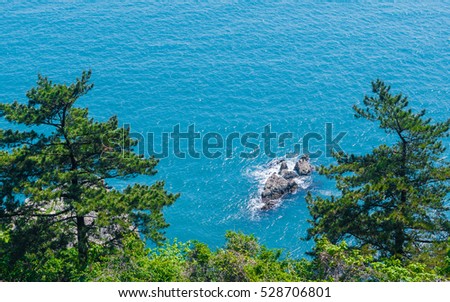 Trees and the Sea