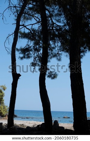 Similar – Strauch mit Booten und Bäumen vor abendlichem Ostseehorizont