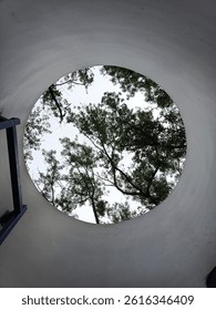 Trees seen from a circular building