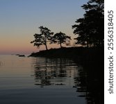 Trees at the shore of Lake Vanern at sunset, Sweden.