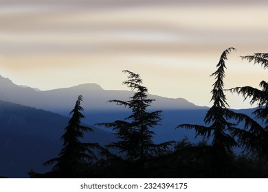 trees silhouette at sunset against alpine background - Powered by Shutterstock