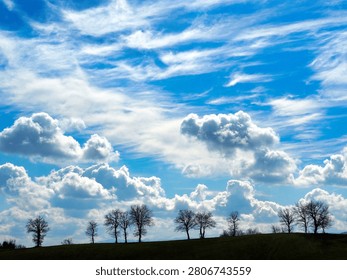 Trees silhouette under dramatic cloudy sky. A row of leafless trees on a green grassy ridge against a spectacular blue sky filled with white cumulus and cirrus clouds. Rural landscape in the Italian hills.