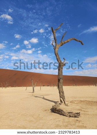 Similar – Dead Vlei Namibia