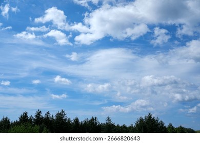 trees and sky view, with clouds 