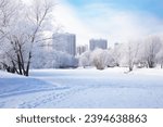 Trees in snow, Moscow city park, beautiful winter landscape