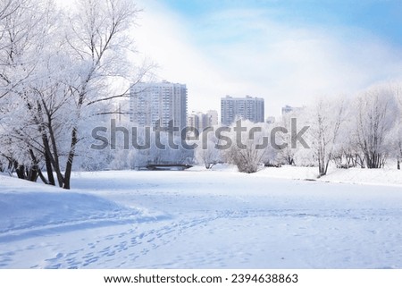 Trees in snow, Moscow city park, beautiful winter landscape
