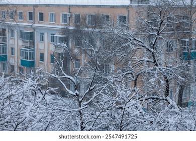 Trees in the snow on a background of the city. Winter landscape. - Powered by Shutterstock