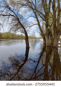 Trees standing in water during spring flood. Scenic river landscape with reflections in calm water of Desna river, Ukraine