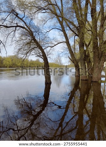 Trees standing in water during spring flood. Scenic river landscape with reflections in calm water of Desna river, Ukraine