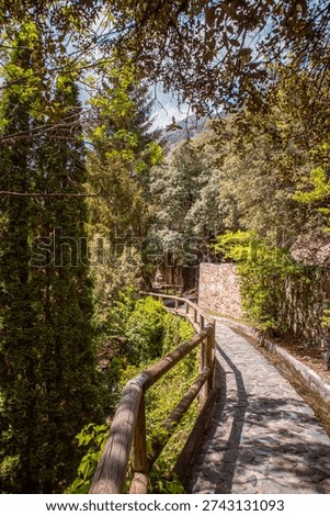 Trees and stone path on Rec del Sola trail in Andorra la Vella on a sunny day