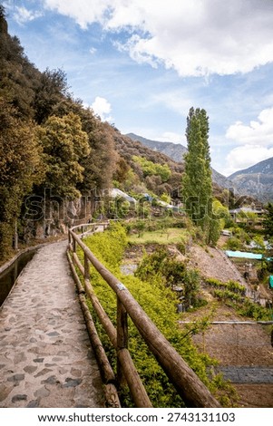 Trees and stone path on Rec del Sola trail in Andorra la Vella on a sunny day