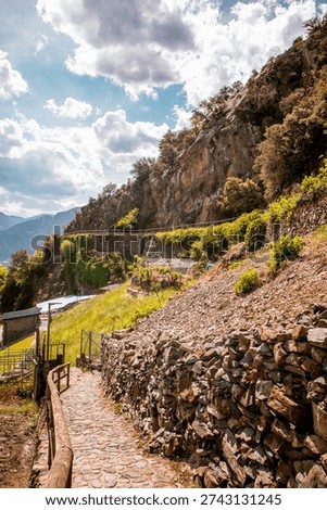 Trees and stone path on Rec del Sola trail in Andorra la Vella on a sunny day