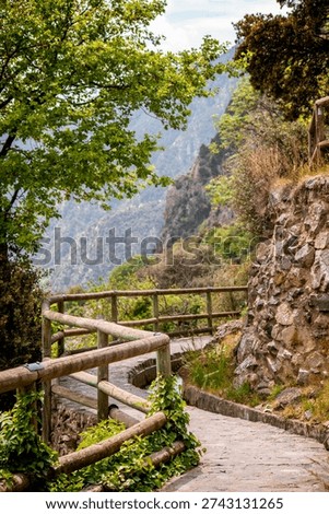Trees and stone path on Rec del Sola trail in Andorra la Vella on a sunny day