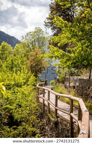 Trees and stone path on Rec del Sola trail in Andorra la Vella on a sunny day