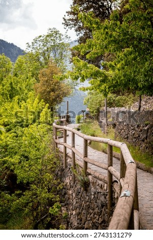 Trees and stone path on Rec del Sola trail in Andorra la Vella on a sunny day