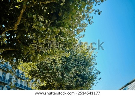 Similar – Foto Bild sommer vorm balkon Natur