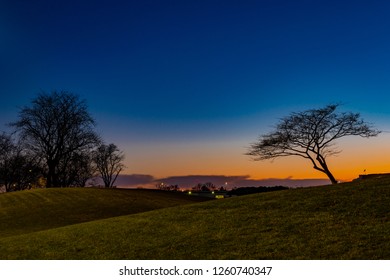 Trees with sunset