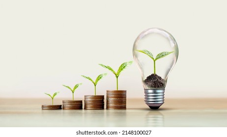 Trees That Grow On Piles Of Coins And Trees That Grow In Energy-saving Lamps. Concept Of Finance, Business, Economic Growth, And Green Energy.