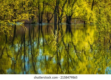 9,161 Deluge Of Water Images, Stock Photos & Vectors | Shutterstock