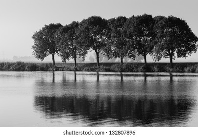 Trees and their reflections in a Dutch rural landscape in monochrome tones.