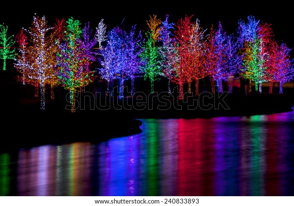 led lights on trees