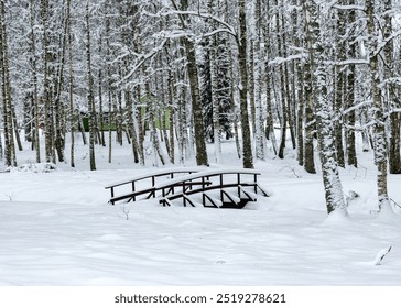 trees and tree branches covered with thick snow, winter day