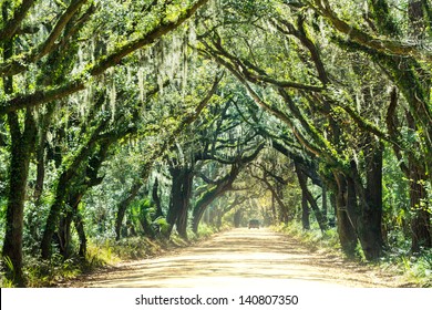 48,798 Deep south Images, Stock Photos & Vectors | Shutterstock