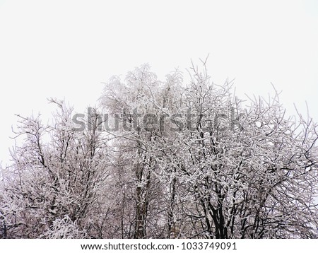 Similar – grau Wetter Winter