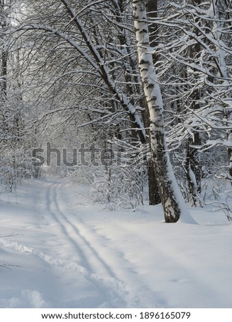 Similar – Image, Stock Photo Tracks in the snow Winter