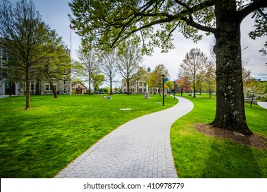 Trees And Walkway At Loyola University Maryland, In Baltimore, Maryland.