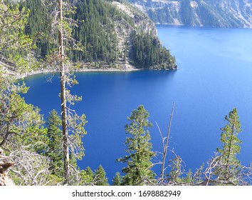 Trees And Water, Cleetwood Cove Trail, Crater Lake National Park, Oregon, USA, October