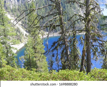 Trees And Water, Cleetwood Cove Trail, Crater Lake National Park, Oregon, USA, October